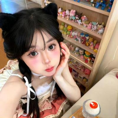 大象之梦